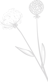 herb